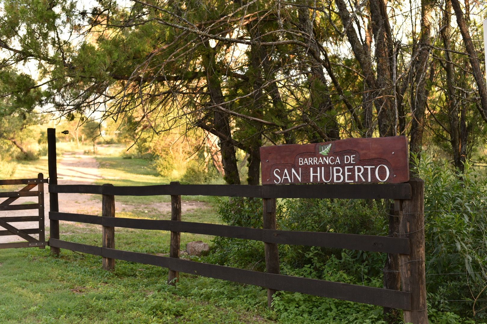 Paisaje natural en Barranca de San Huberto