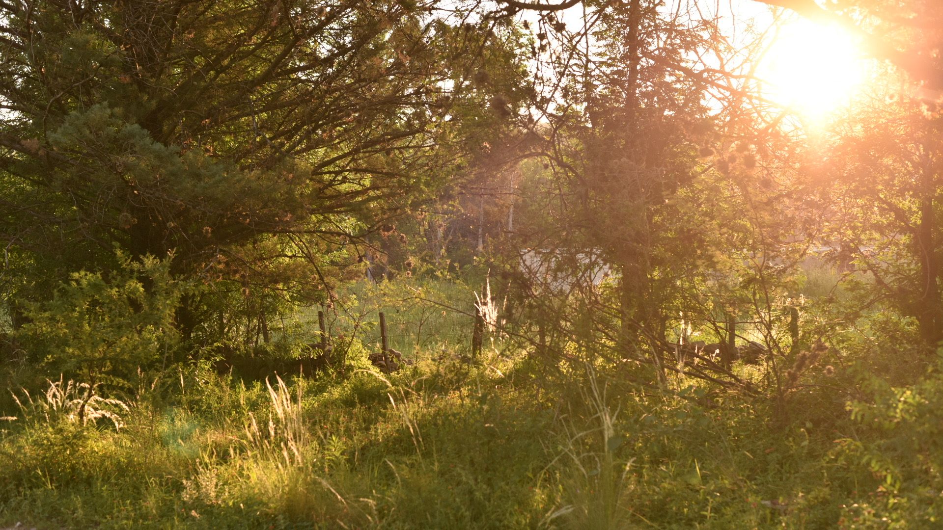 Paisaje natural en Barranca de San Huberto