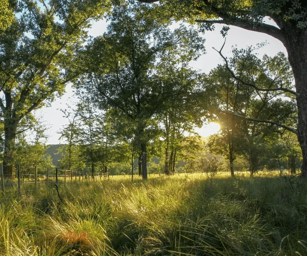 Paisaje de Barranca de San Huberto, loteo en Traslasierra, Sierras de Córdoba