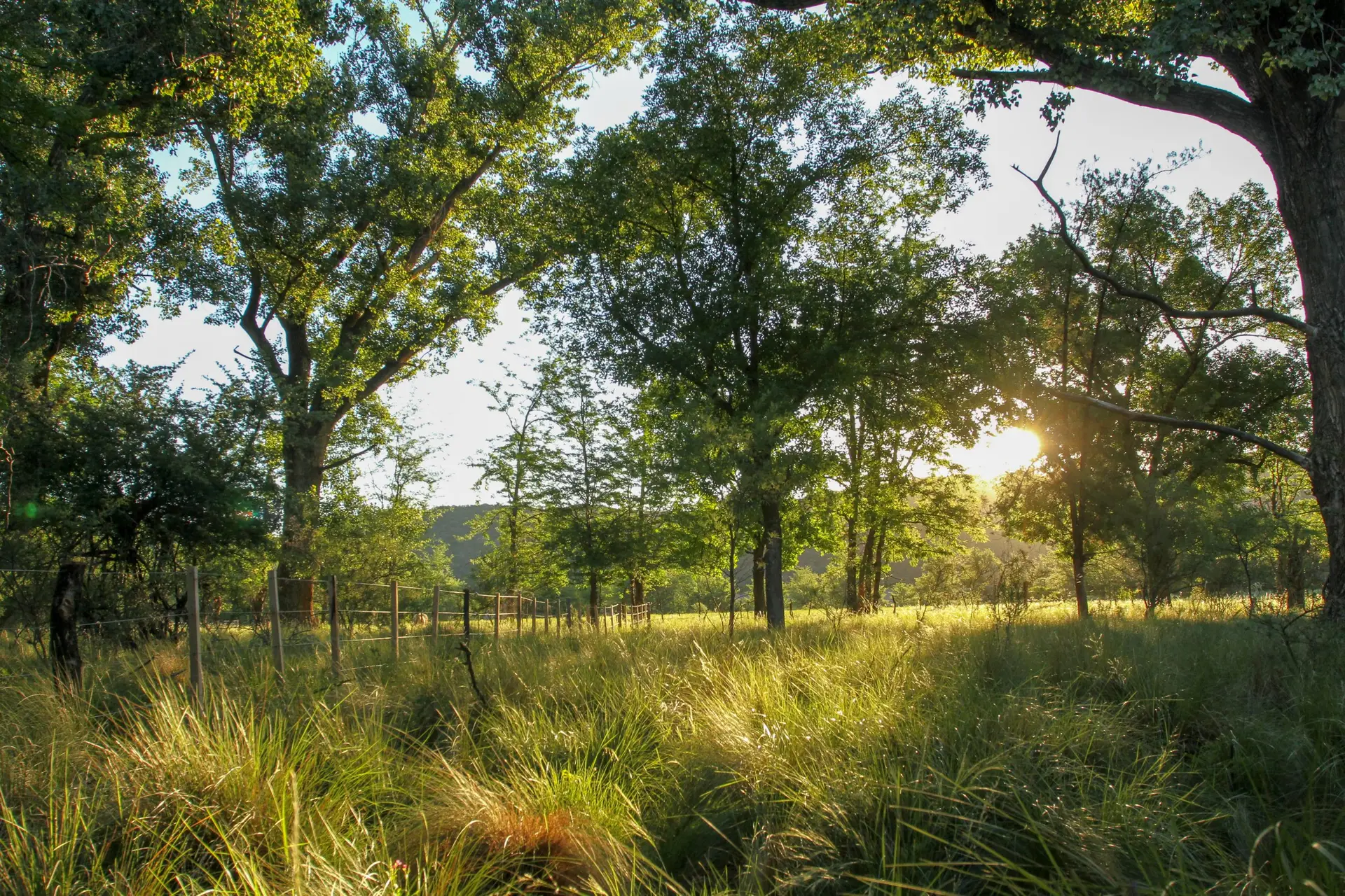 Paisaje panorámico de Barranca de San Huberto en Traslasierra