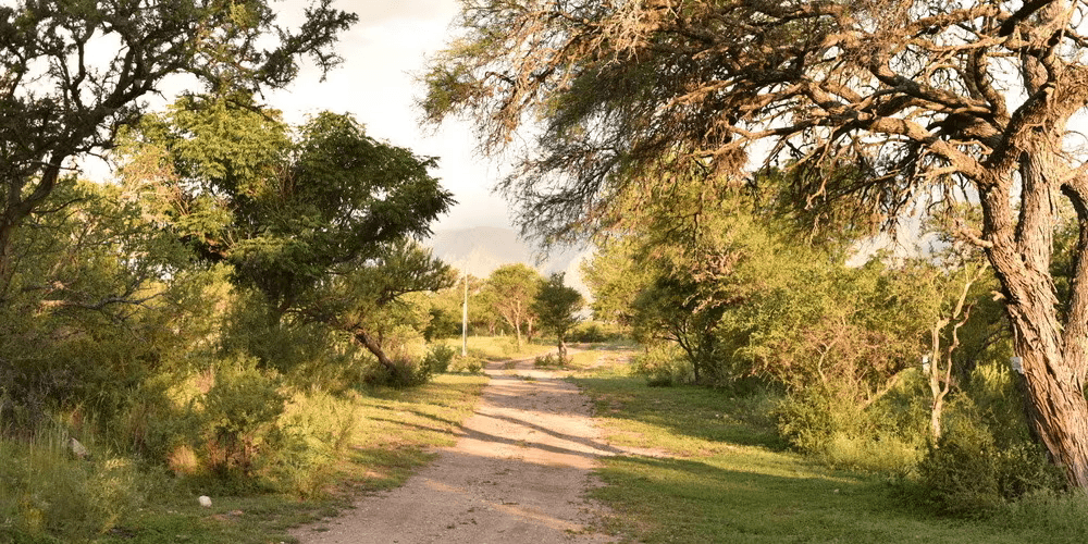 Caminos internos y entorno natural en el loteo Barranca de San Huberto, Traslasierra, Córdoba, Argentina