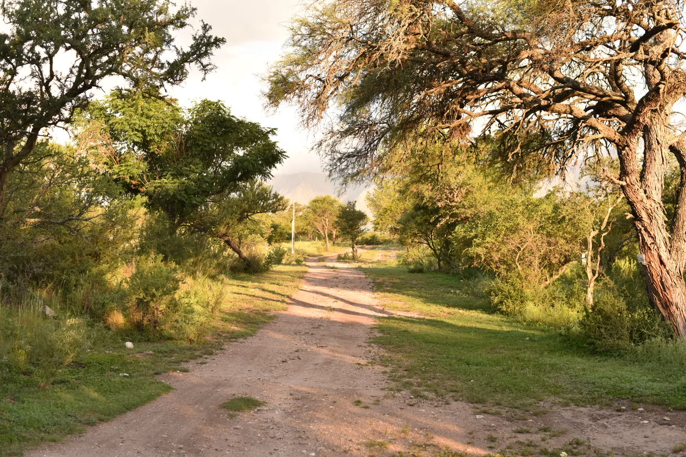 Caminos internos y entorno natural en el loteo Barranca de San Huberto, Traslasierra, Córdoba, Argentina